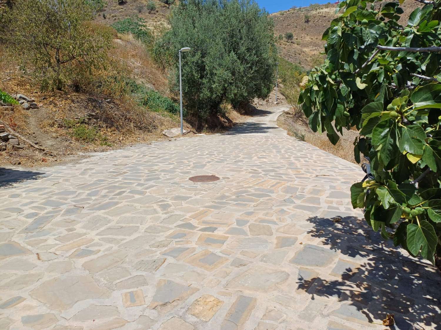 Solar en vallejos(macharaviaya) con vistas al mar