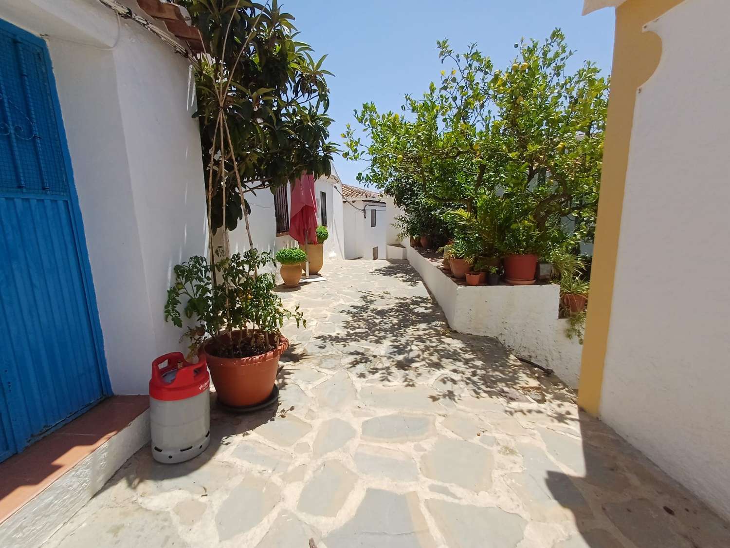 Solar en vallejos(macharaviaya) con vistas al mar