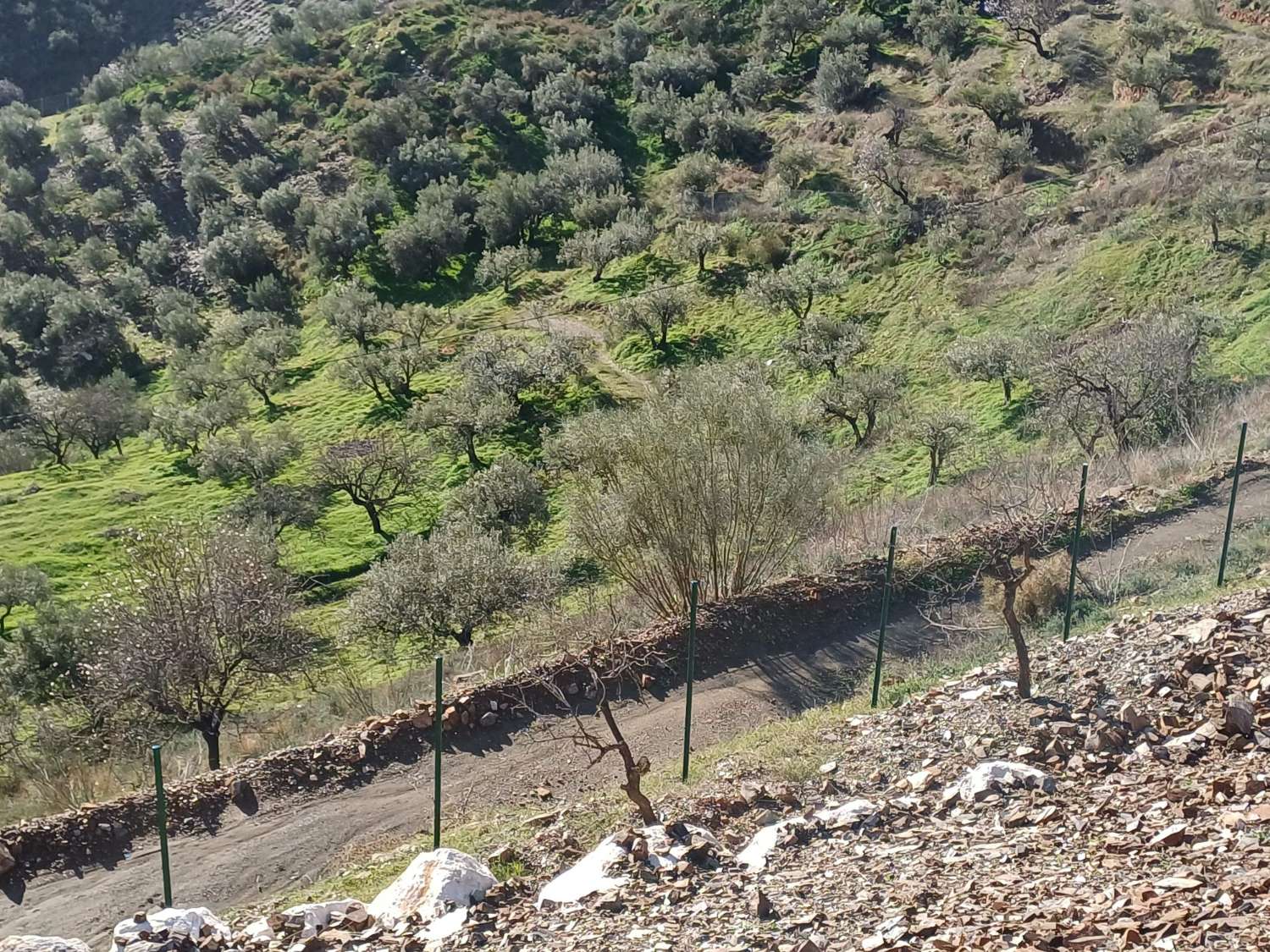 Tomt i Rincon de la Victoria med havsutsikt