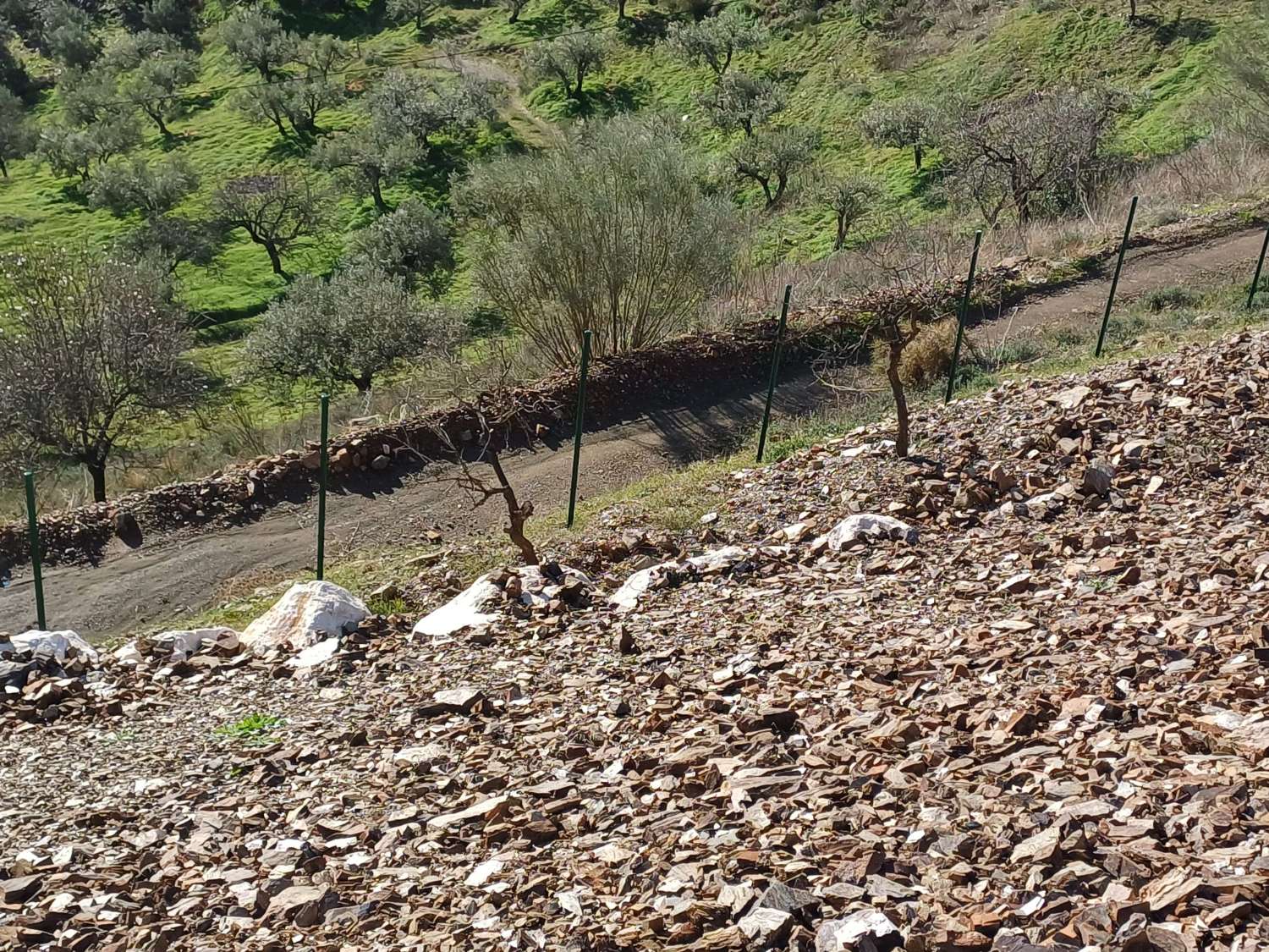 Tomt i Rincon de la Victoria med havsutsikt