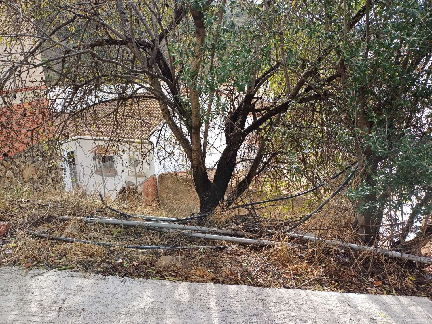 Участок под застройку в Альмачаре