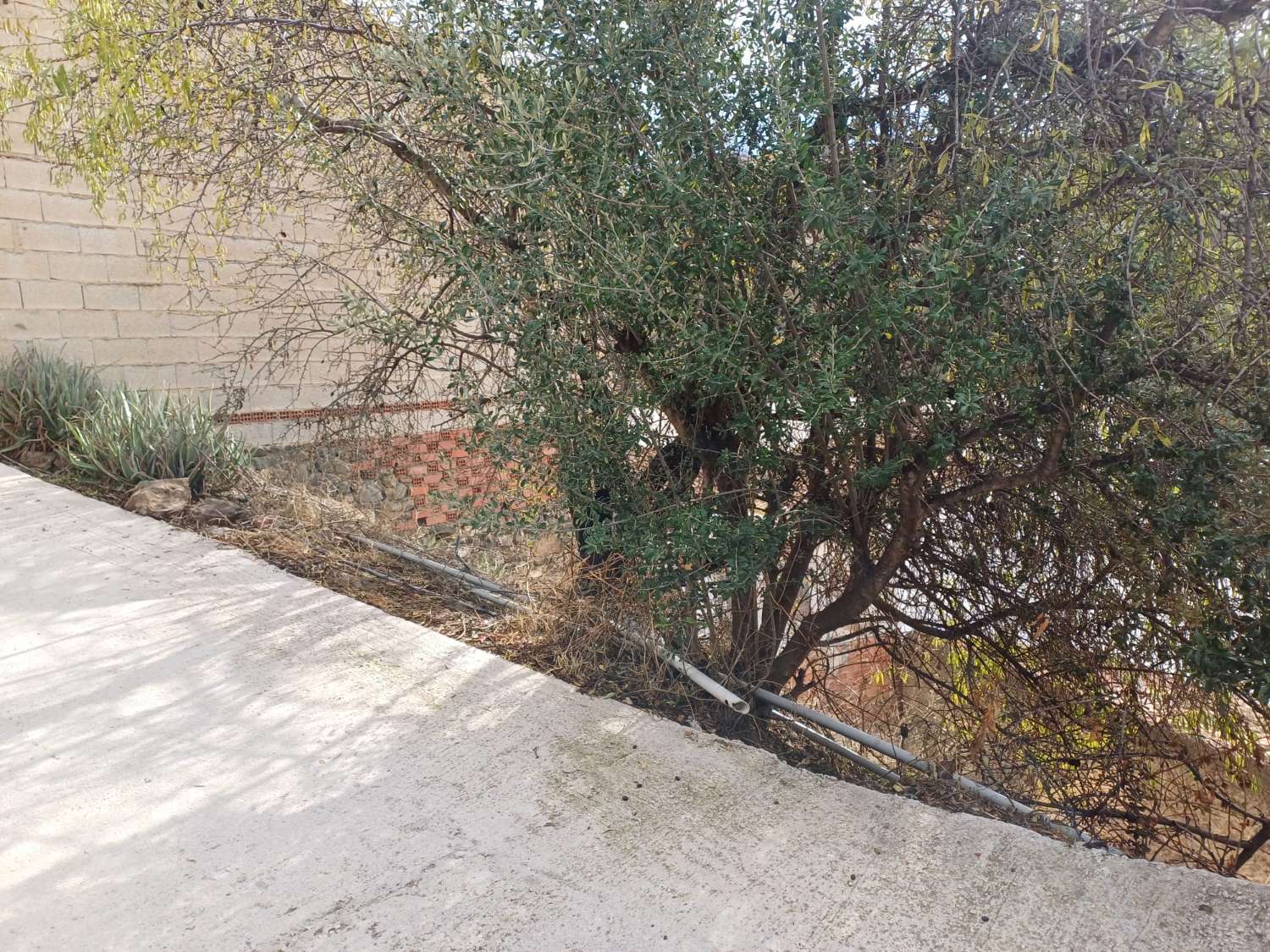 Участок под застройку в Альмачаре