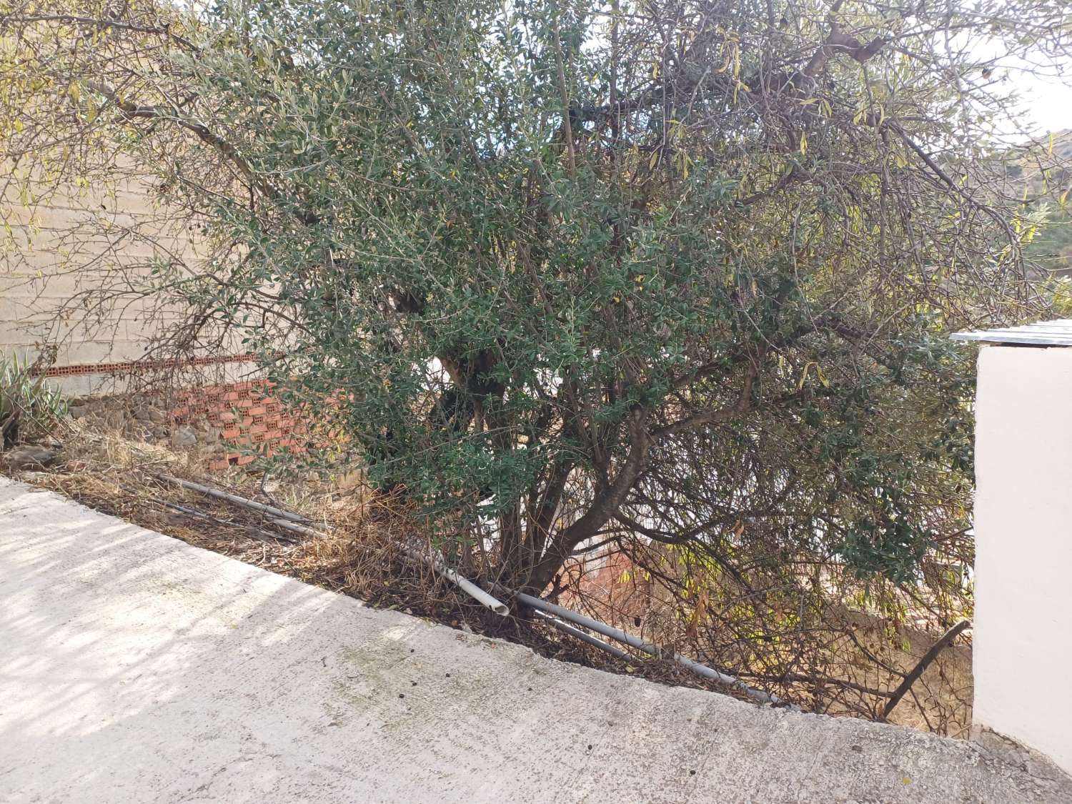 Участок под застройку в Альмачаре