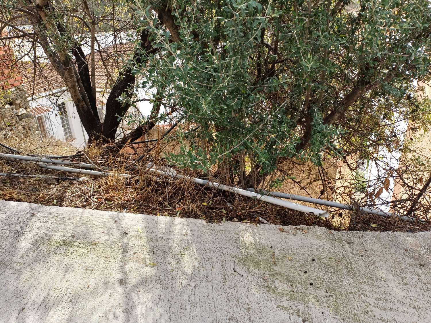 Участок под застройку в Альмачаре