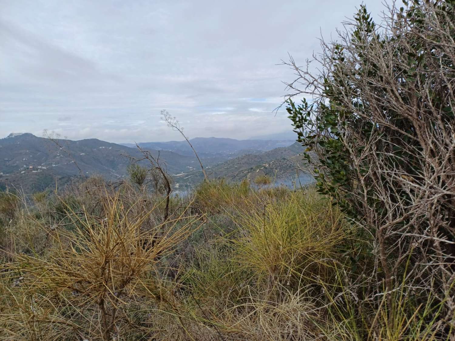 Участок в Бенамаргосе