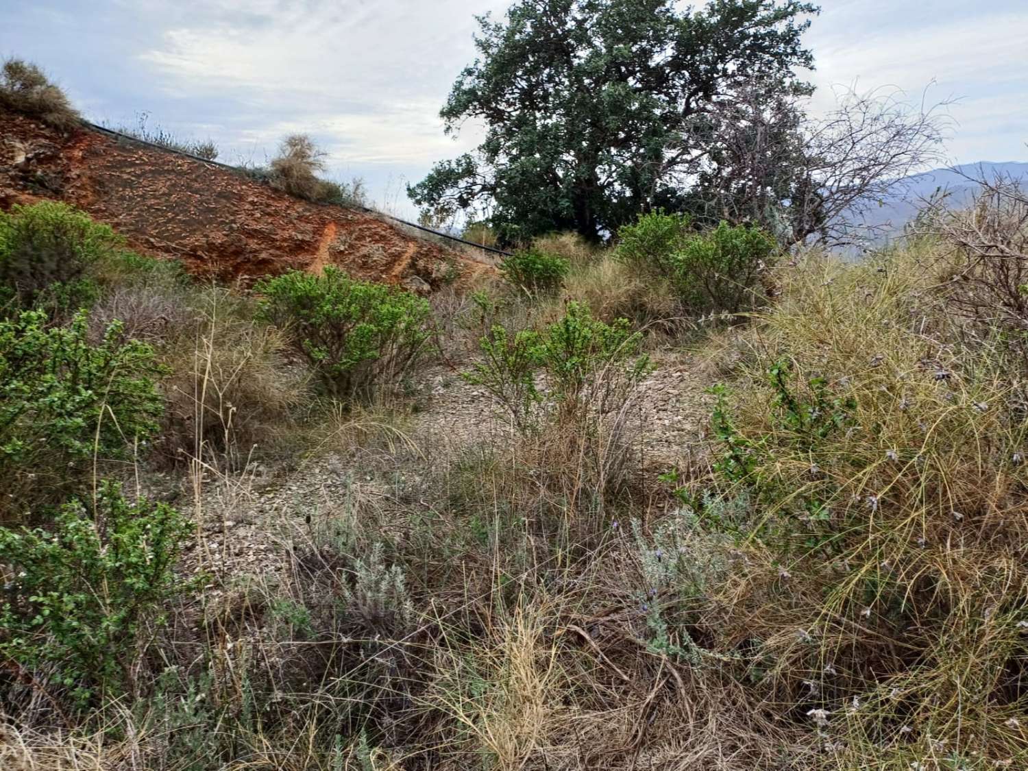 Участок в Бенамаргосе