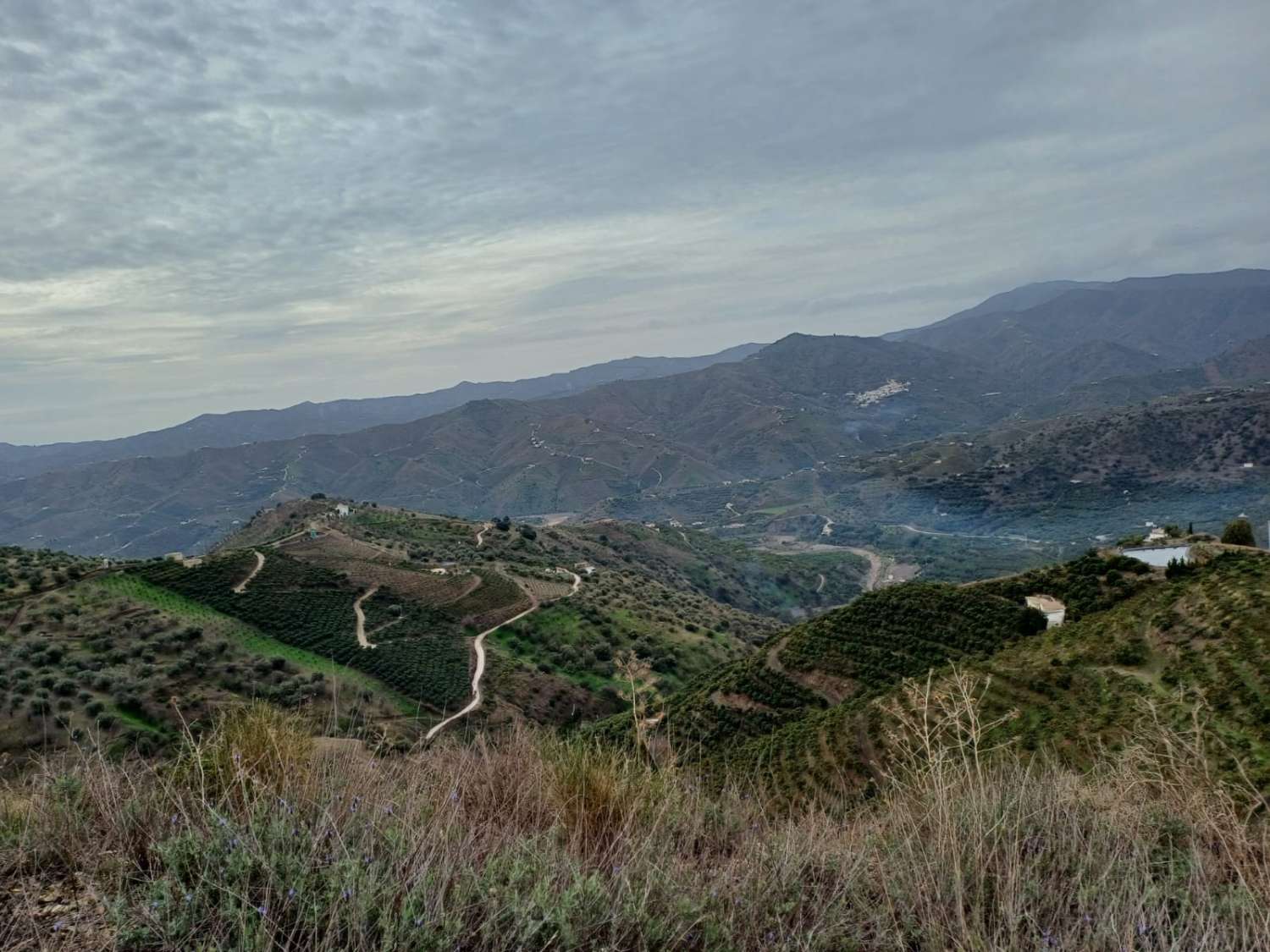 Участок в Бенамаргосе