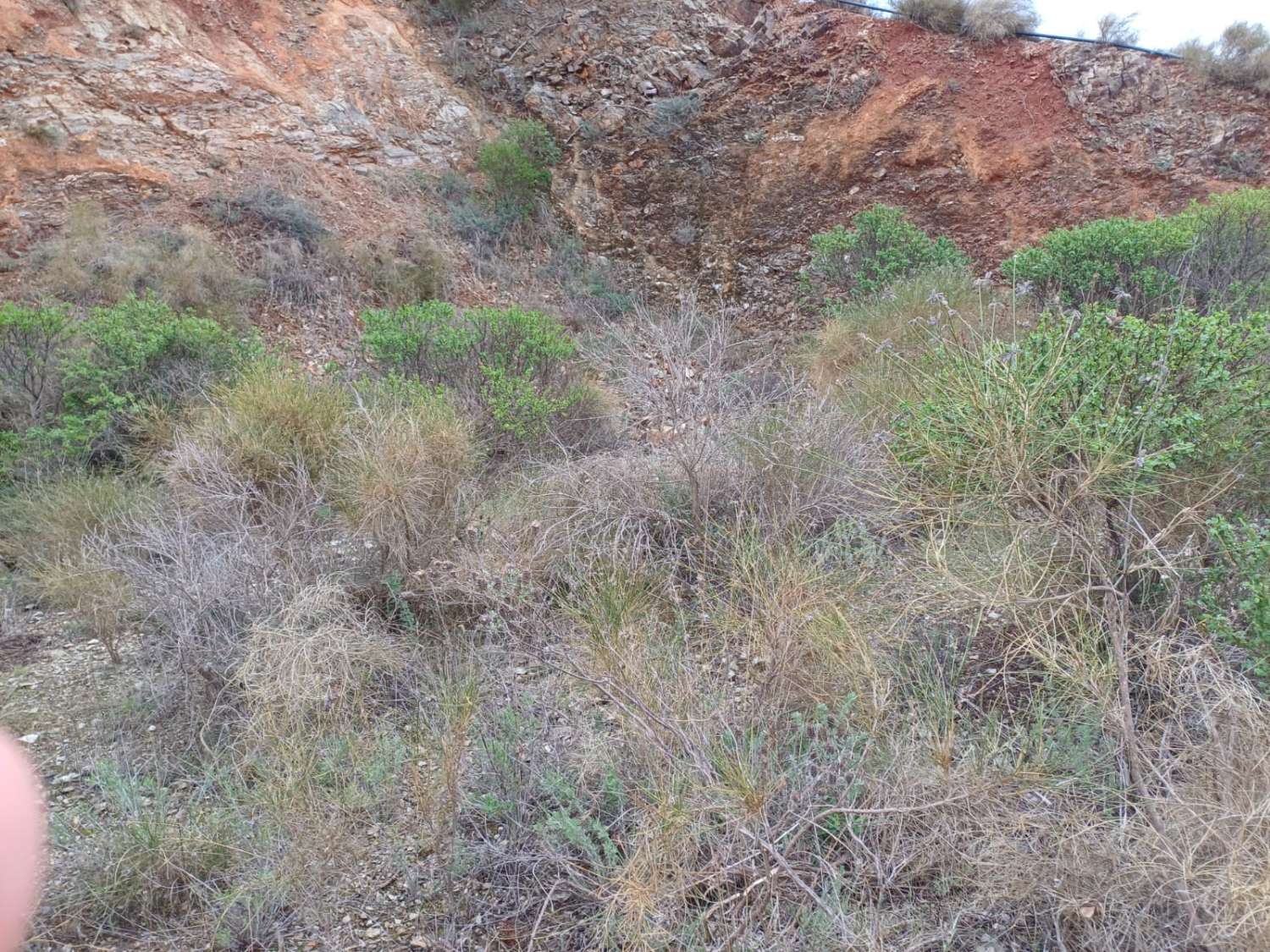 Участок в Бенамаргосе