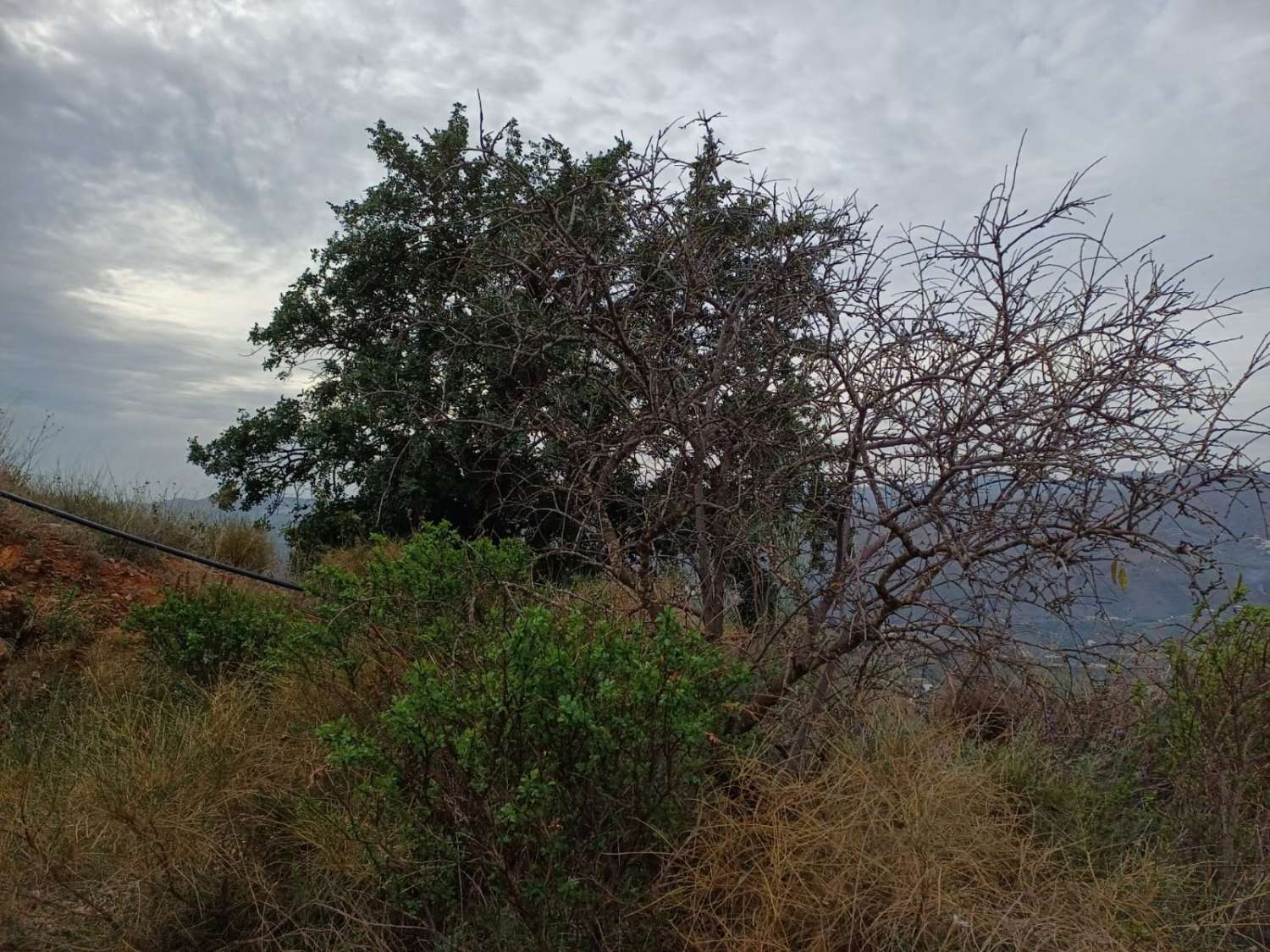 Участок в Бенамаргосе