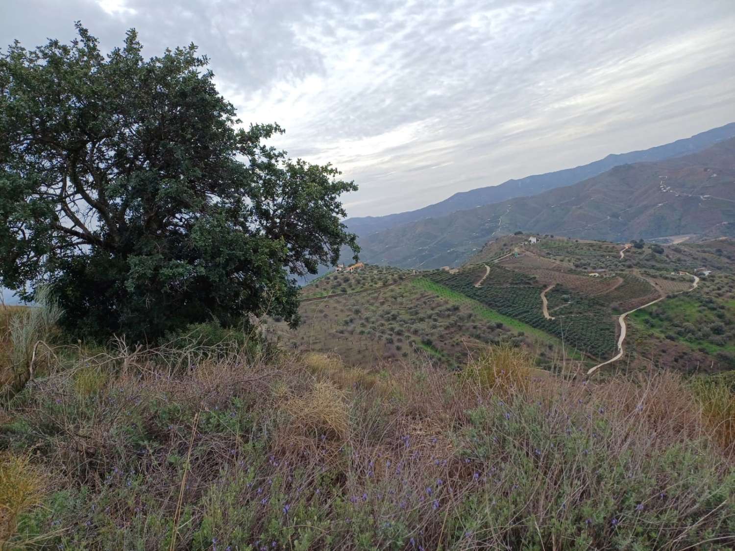 Участок в Бенамаргосе