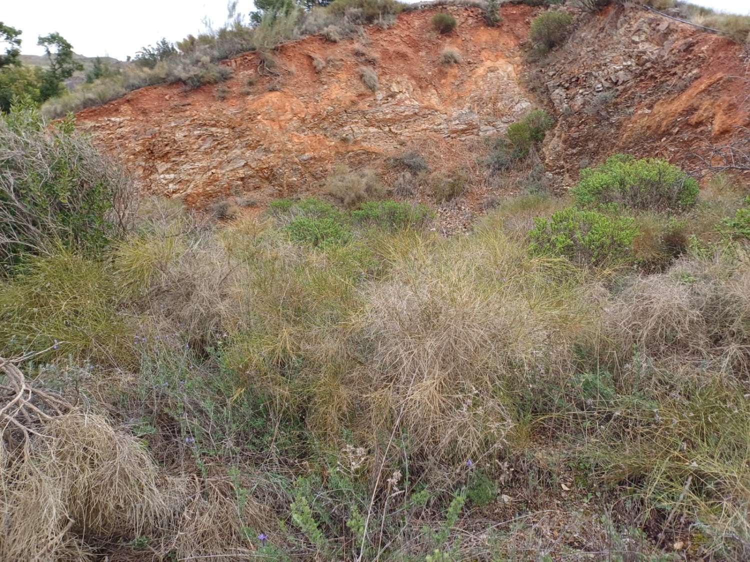 Участок в Бенамаргосе