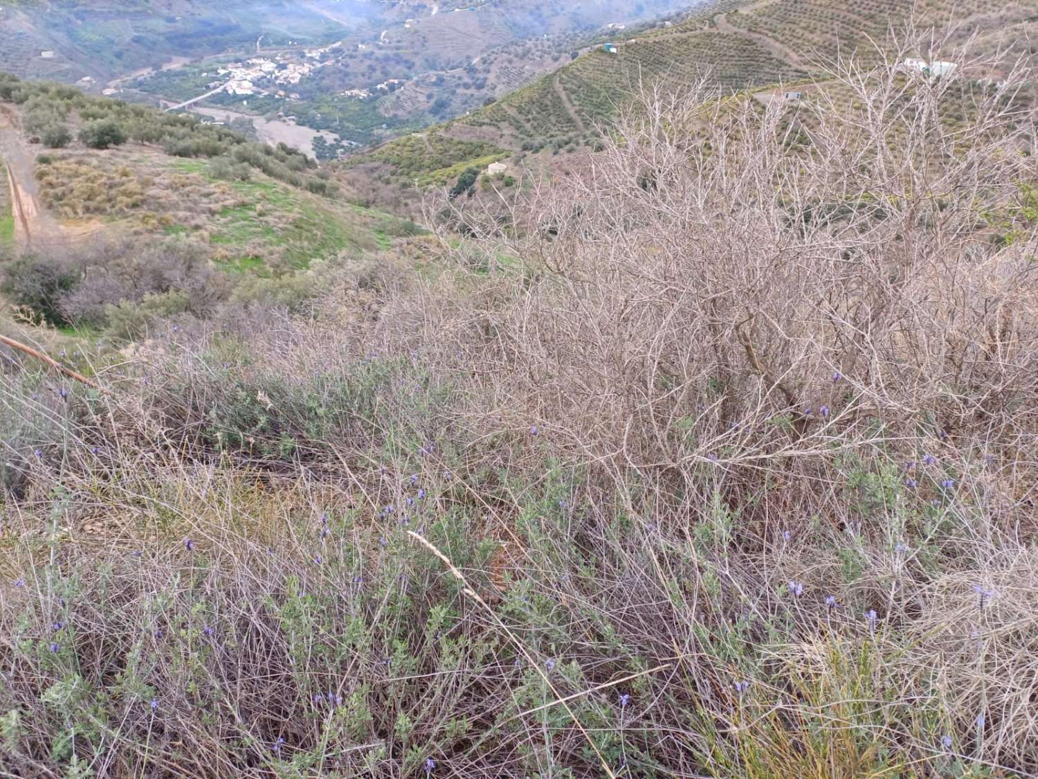 Участок в Бенамаргосе