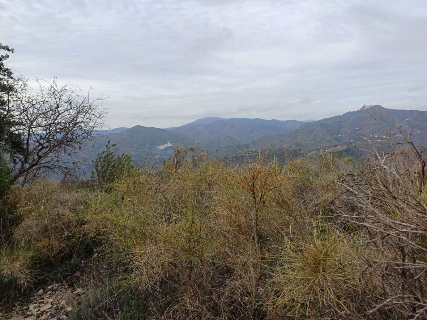 Участок в Бенамаргосе