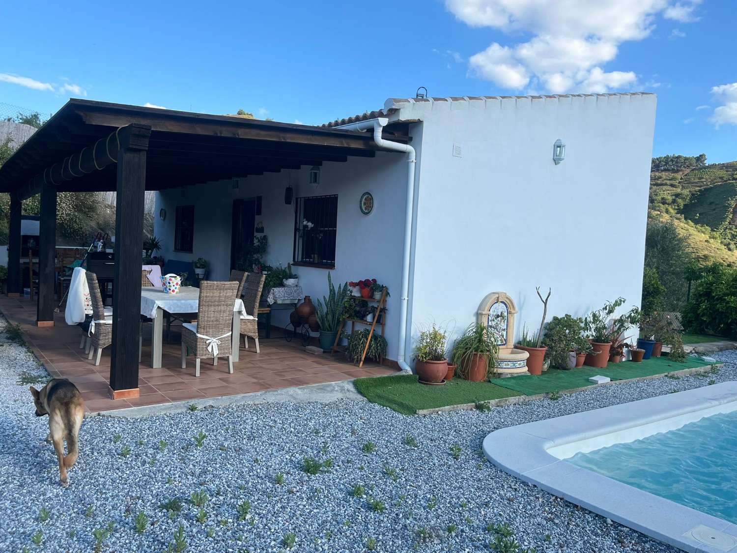 Hus med pool i Borge