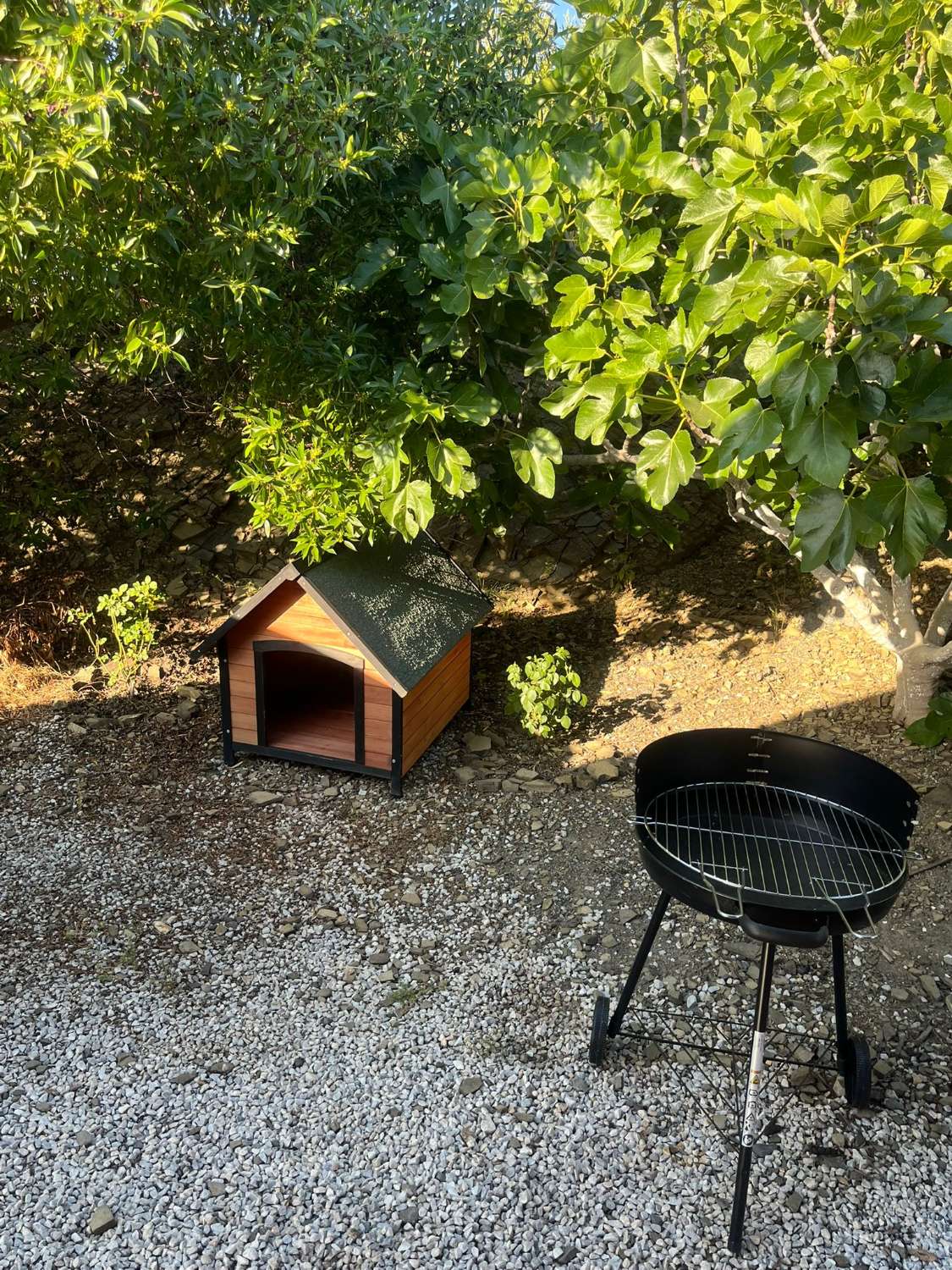 Hus med pool i Borge