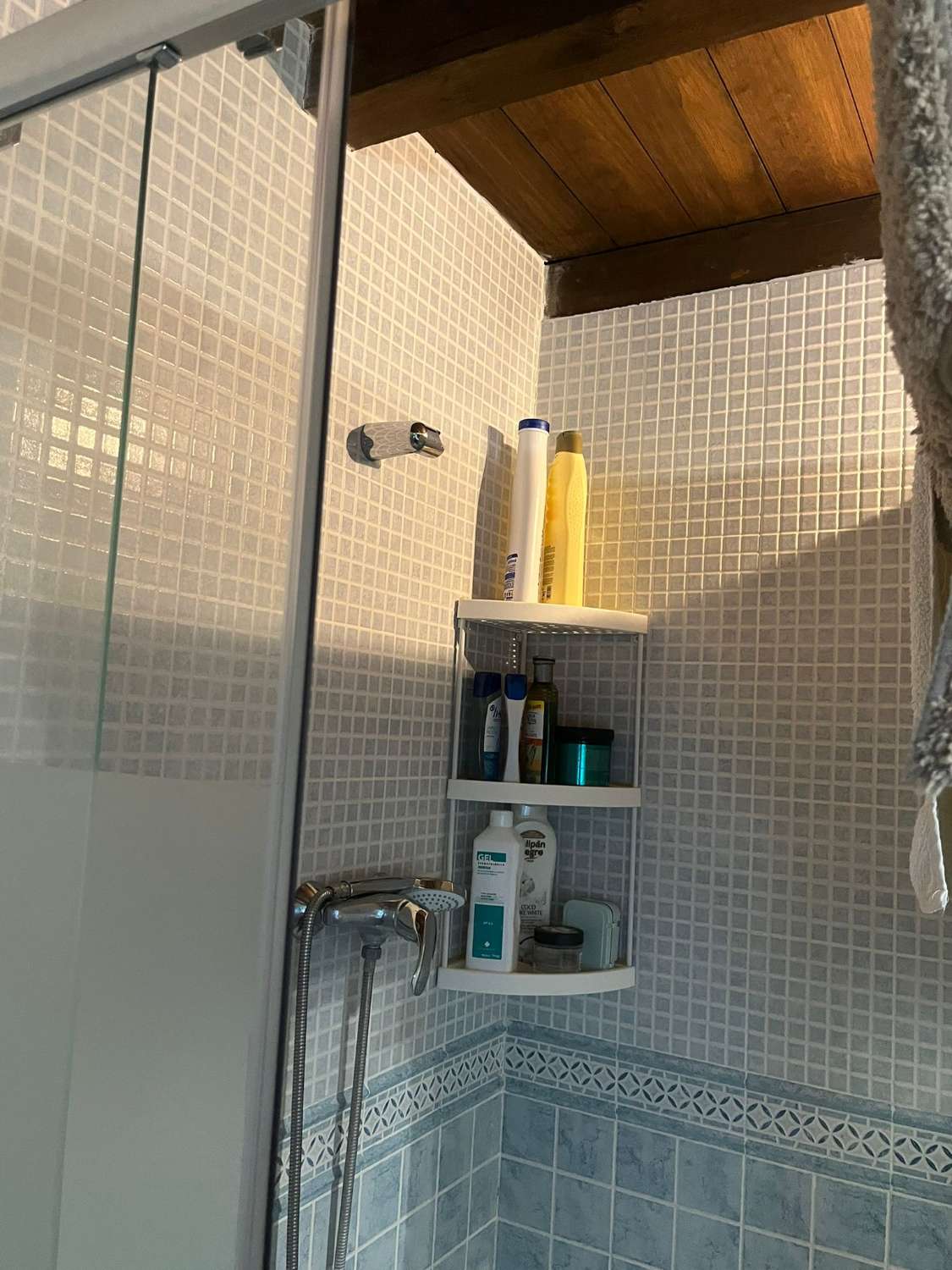 Hus med pool i Borge