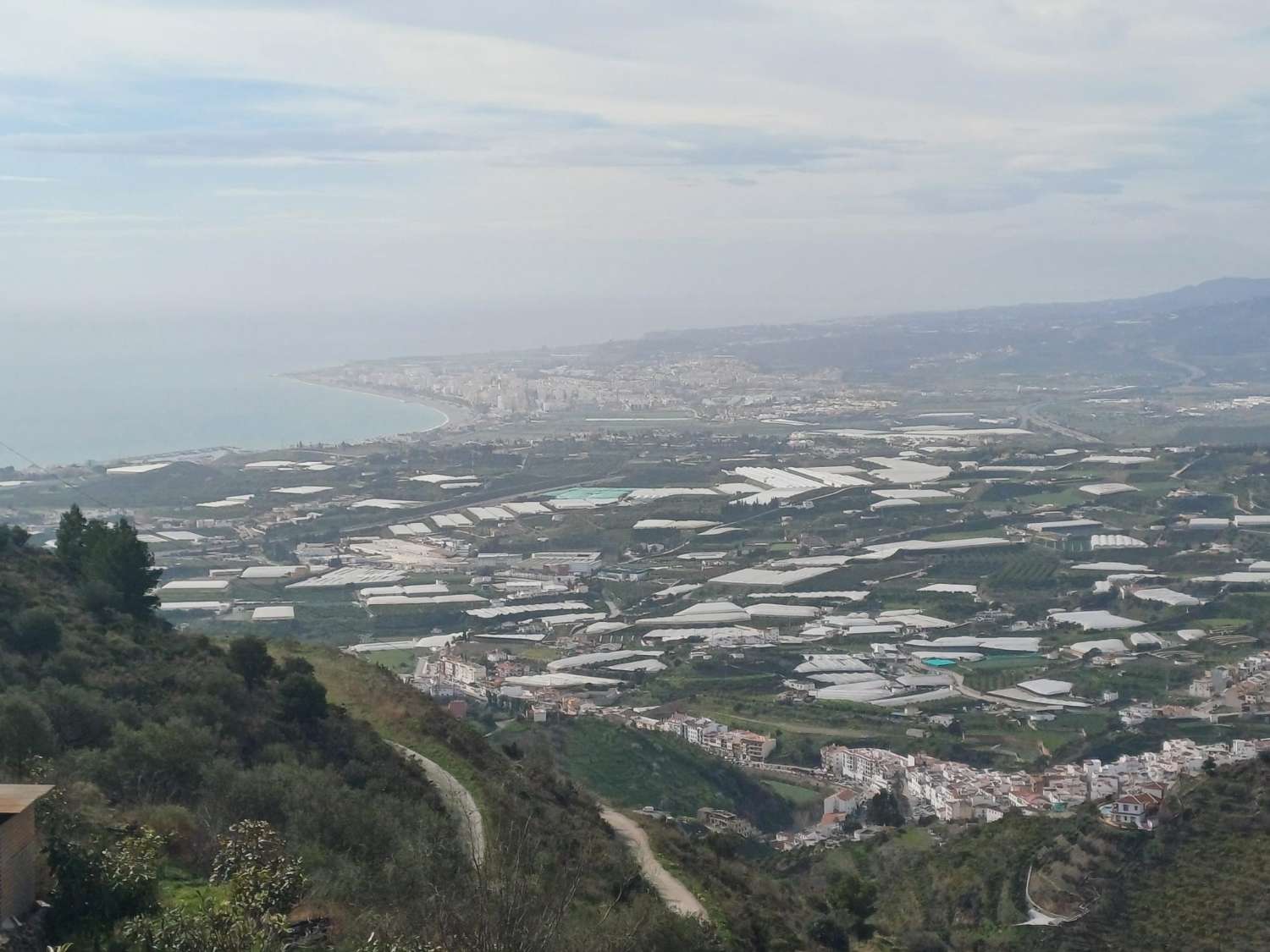 parcela de mangos con vistas al mar el algarrobo