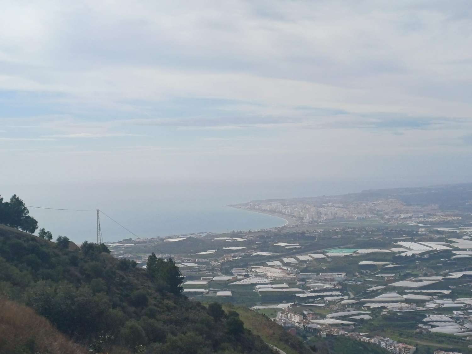parcela de mangos con vistas al mar el algarrobo