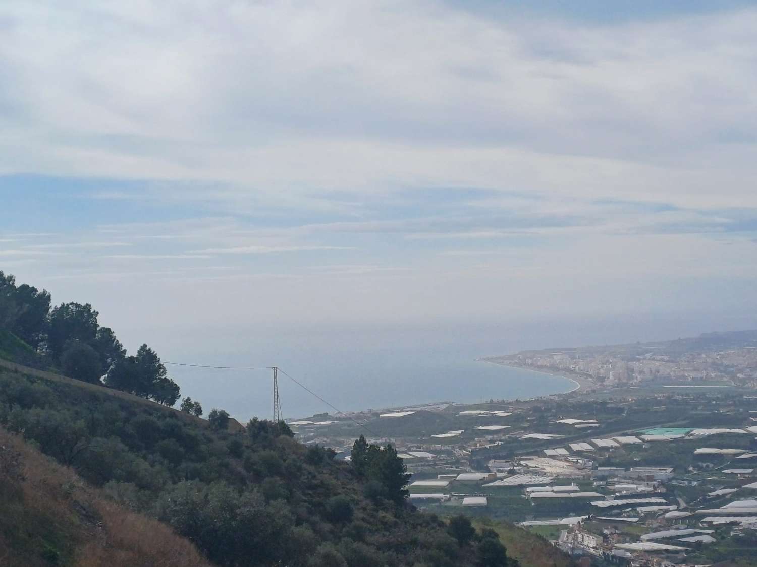 parcela de mangos con vistas al mar el algarrobo