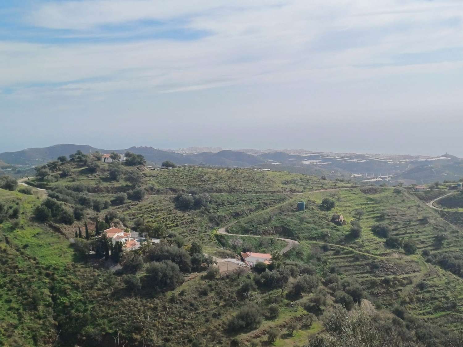 parcela de mangos con vistas al mar el algarrobo