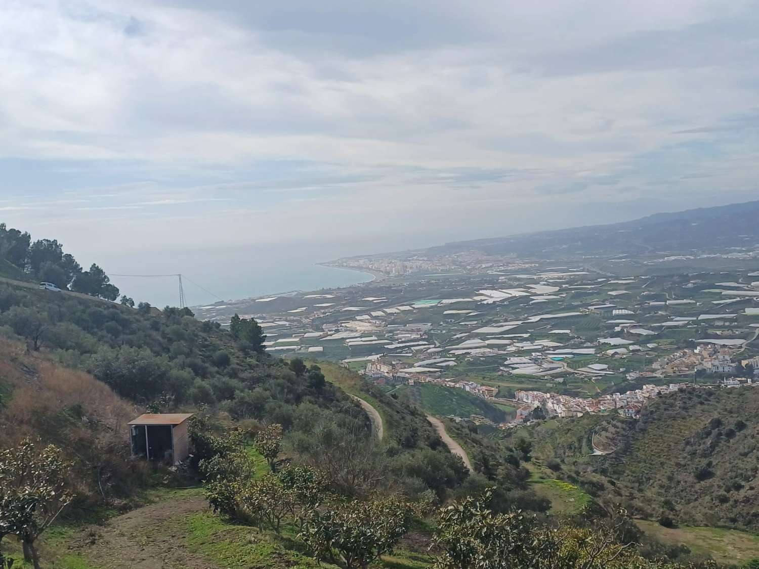 parcela de mangos con vistas al mar el algarrobo