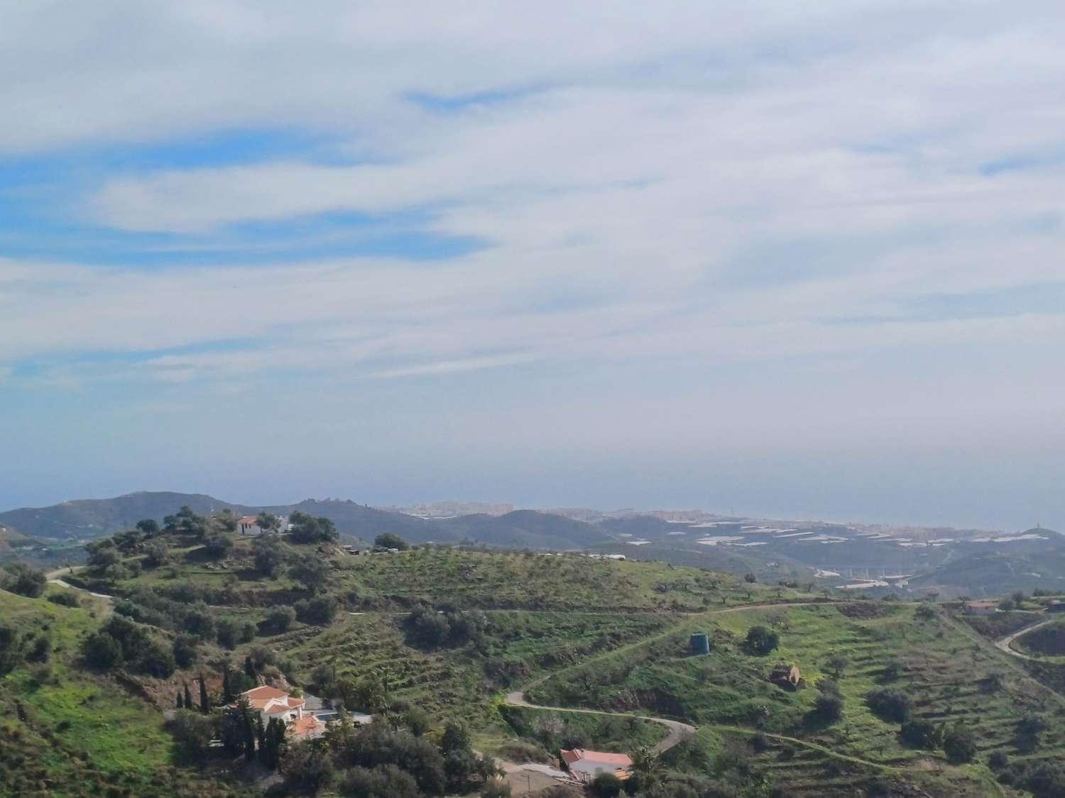parcela de mangos con vistas al mar el algarrobo