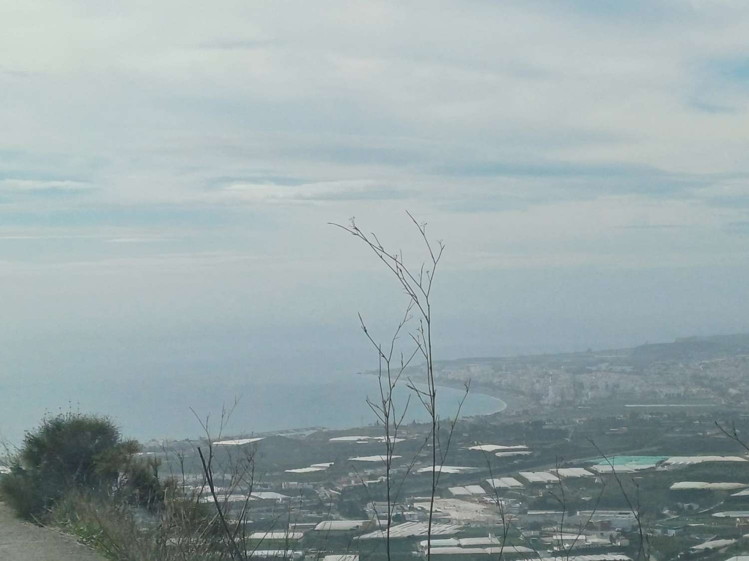 parcela de mangos con vistas al mar el algarrobo