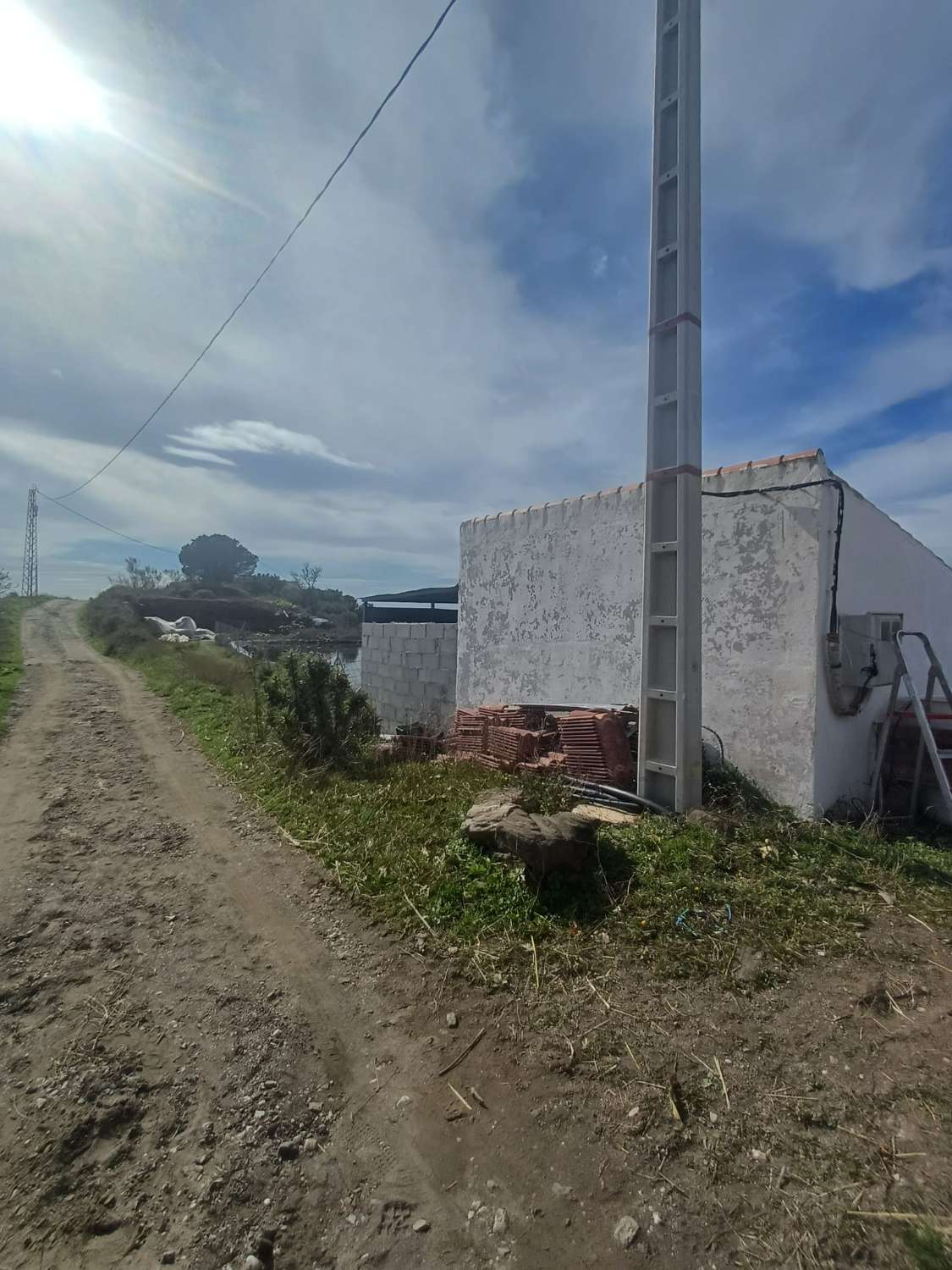 parcela de mangos con vistas al mar el algarrobo