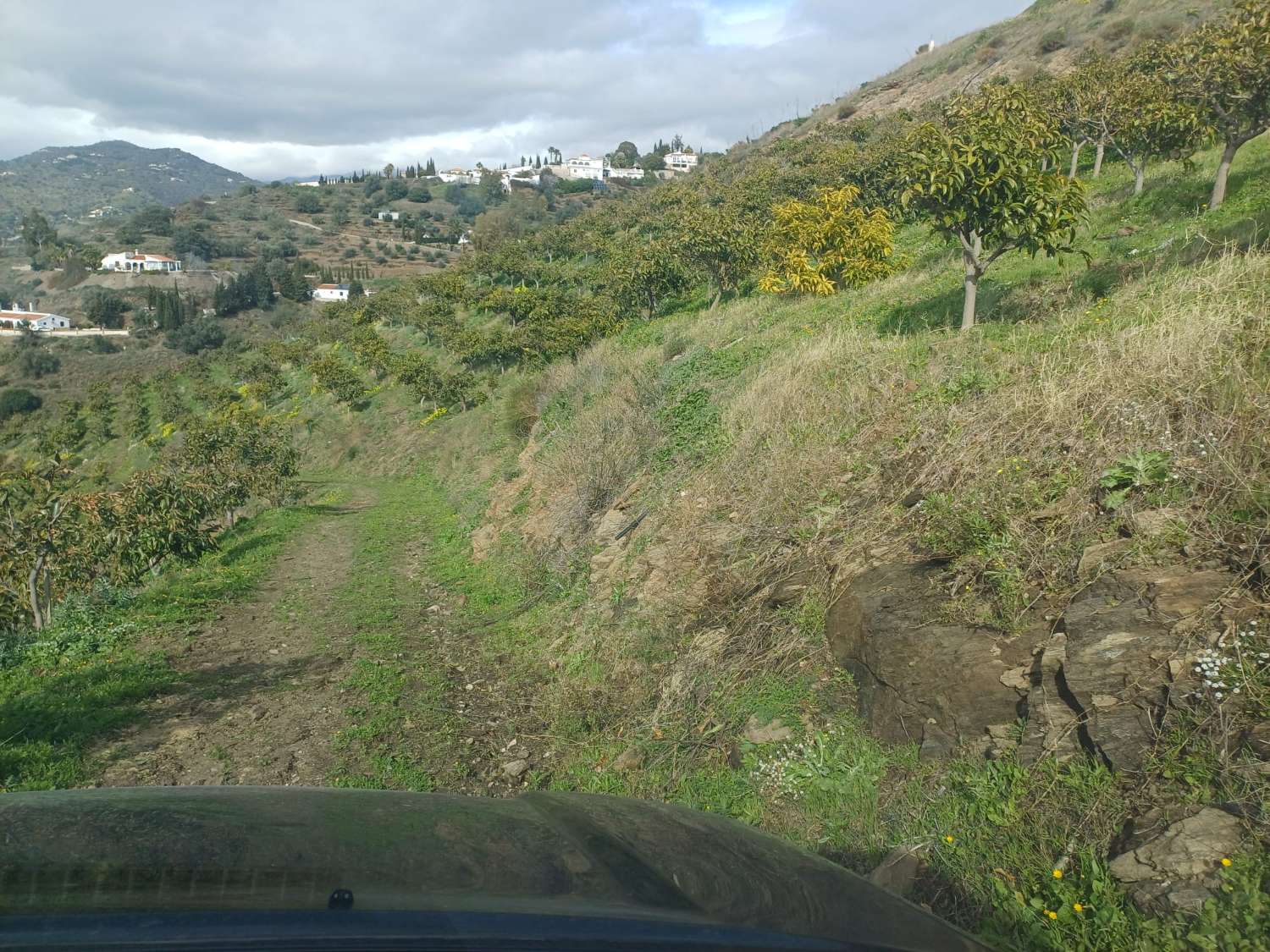 parcela de mangos con vistas al mar el algarrobo