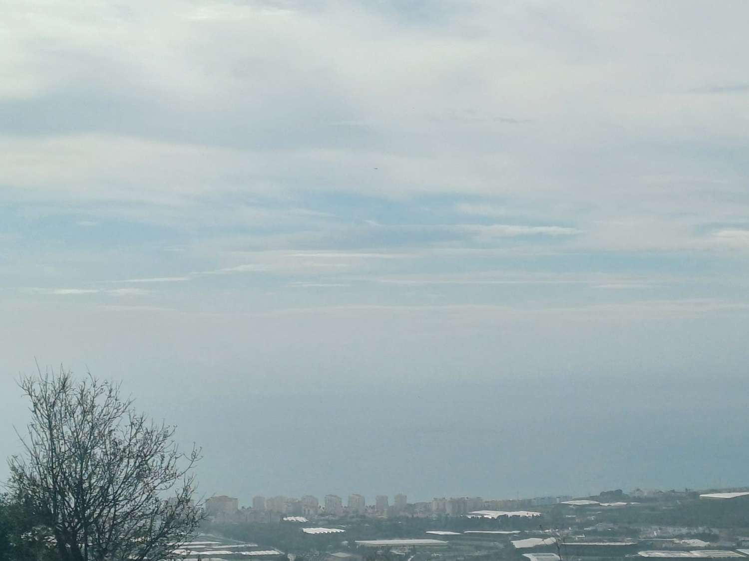 parcela de mangos con vistas al mar el algarrobo