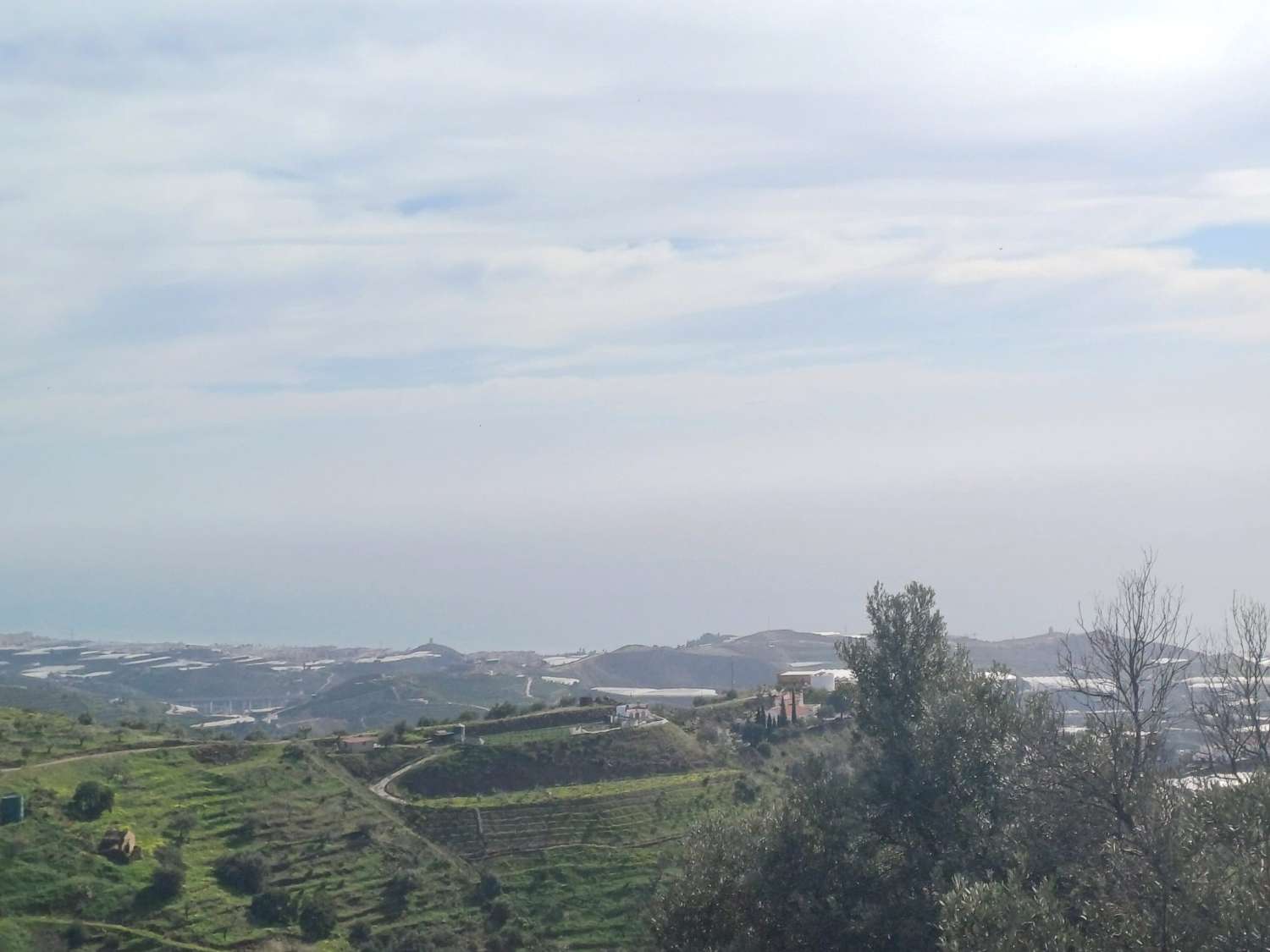 parcela de mangos con vistas al mar el algarrobo