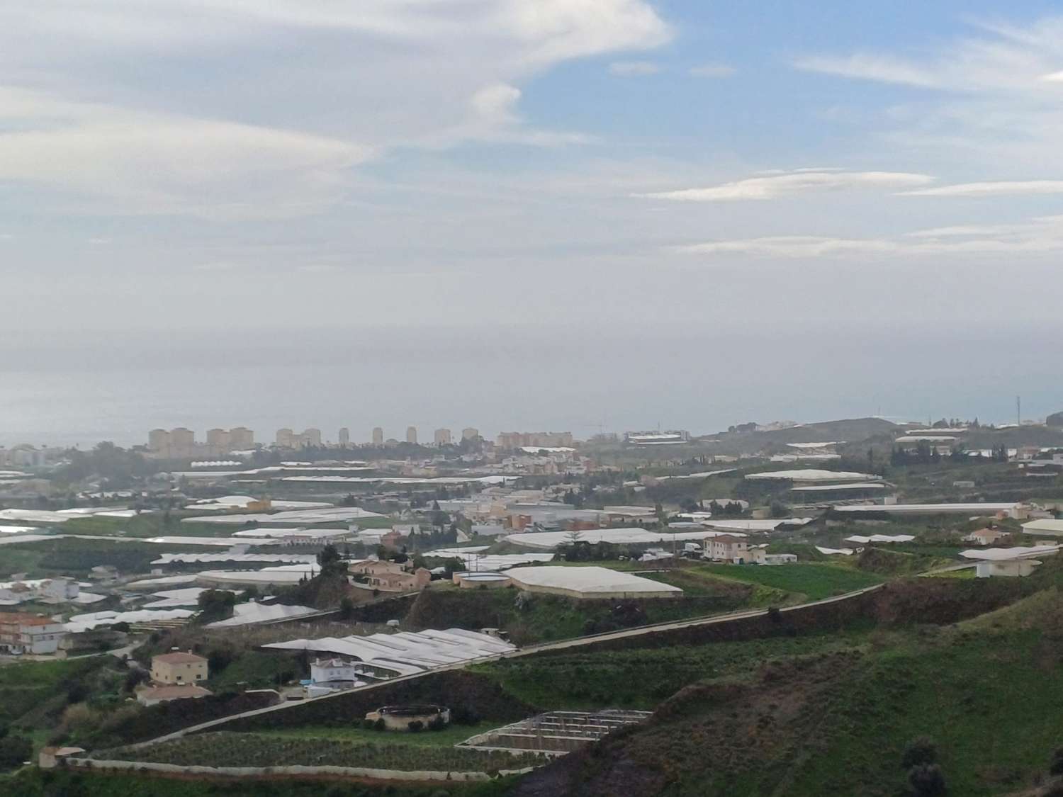 Parcela de mangos con sistas al mar en algarrobo