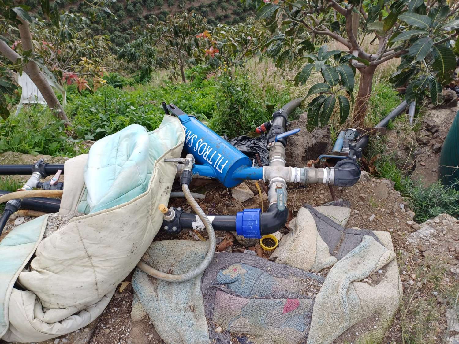 Parcela de mangos con sistas al mar en algarrobo