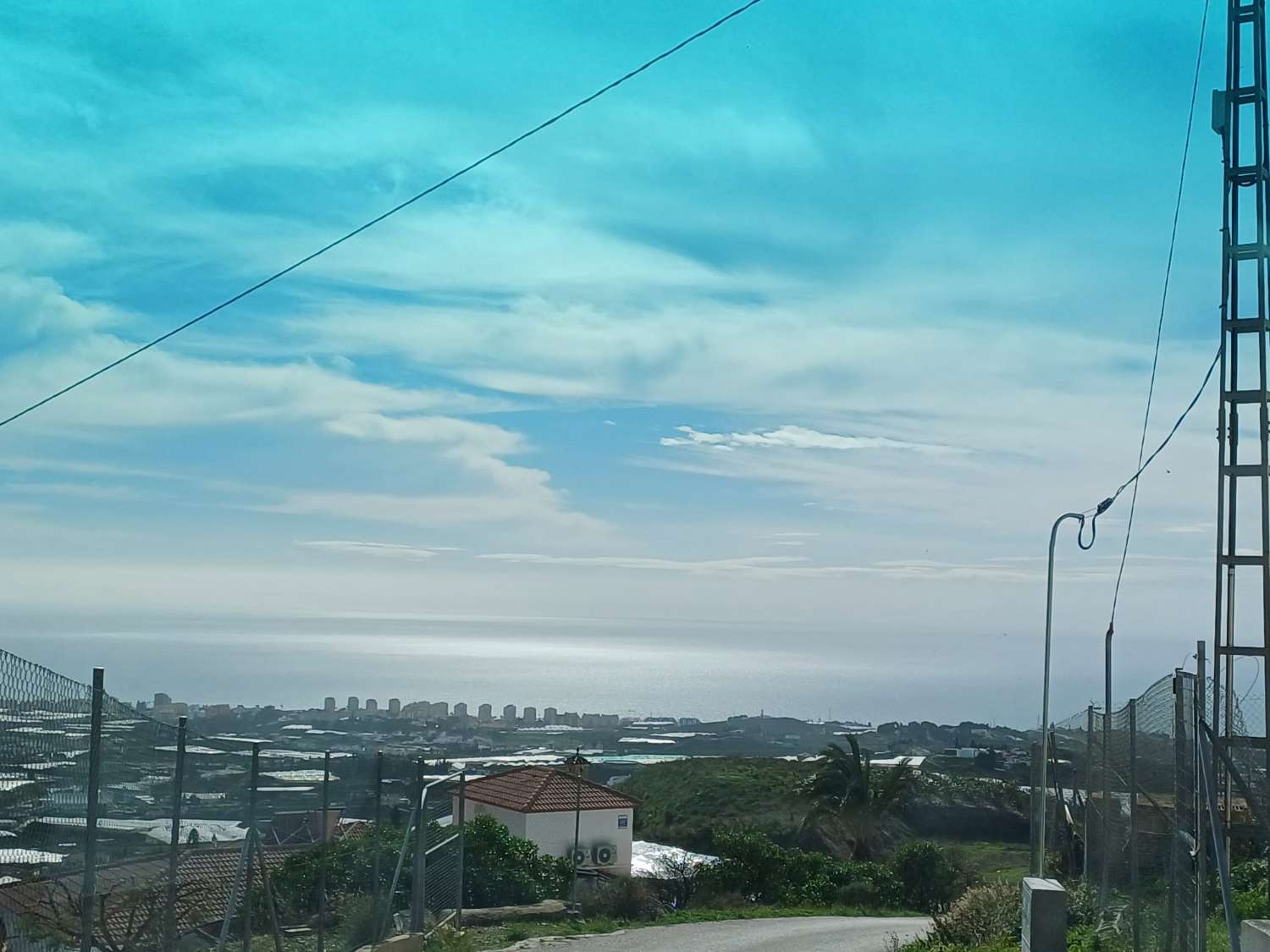 Parcela de mangos con sistas al mar en algarrobo