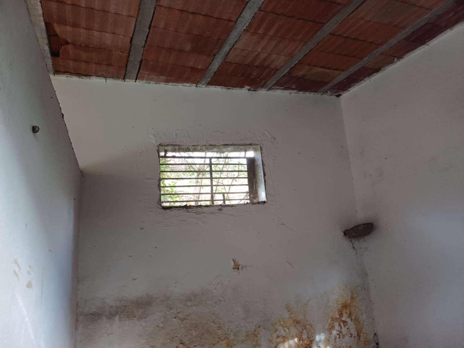 Nave para ganado en benamargosa