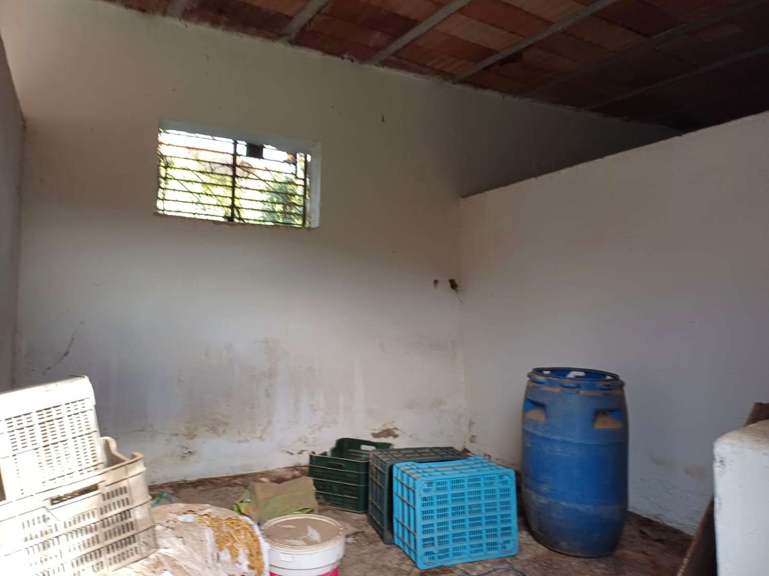 Nave para ganado en benamargosa