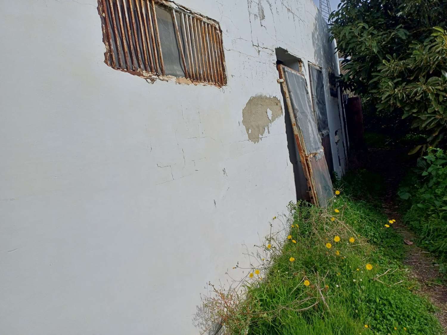 Nave para ganado en benamargosa