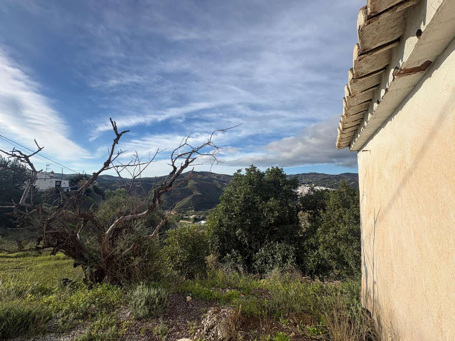 Parcela en almachar con mangosy casa para reformar