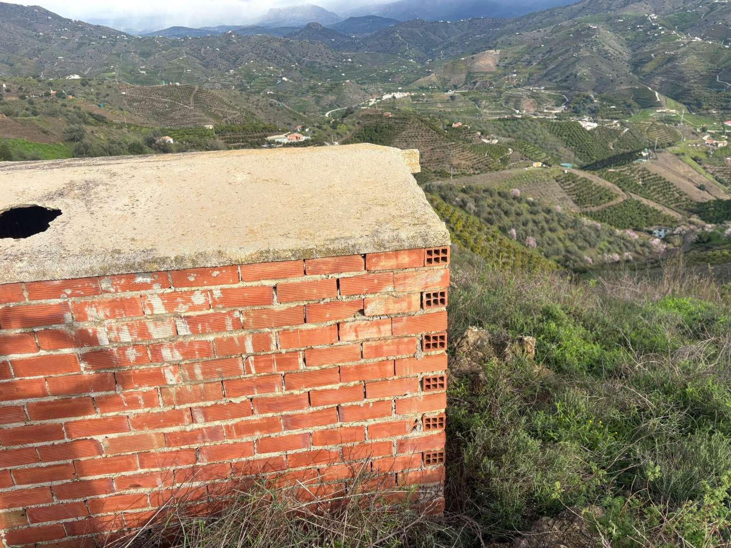 Parcela en almachar con mangosy casa para reformar