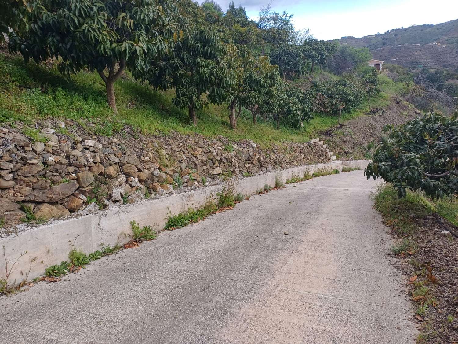 Casa de campo con piscina en Almachar
