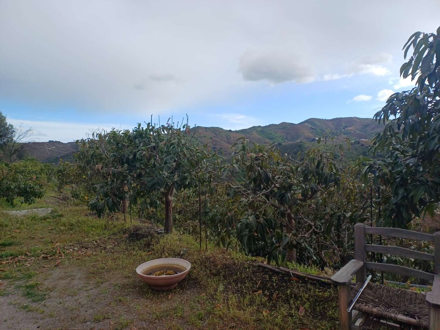 Casa de campo con piscina en Almachar