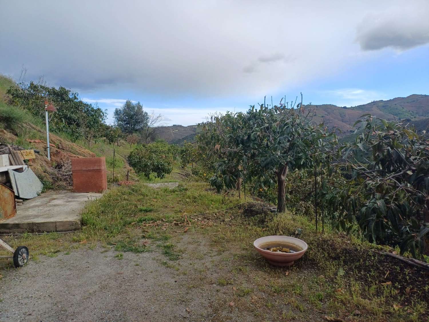 Casa de campo con piscina en Almachar
