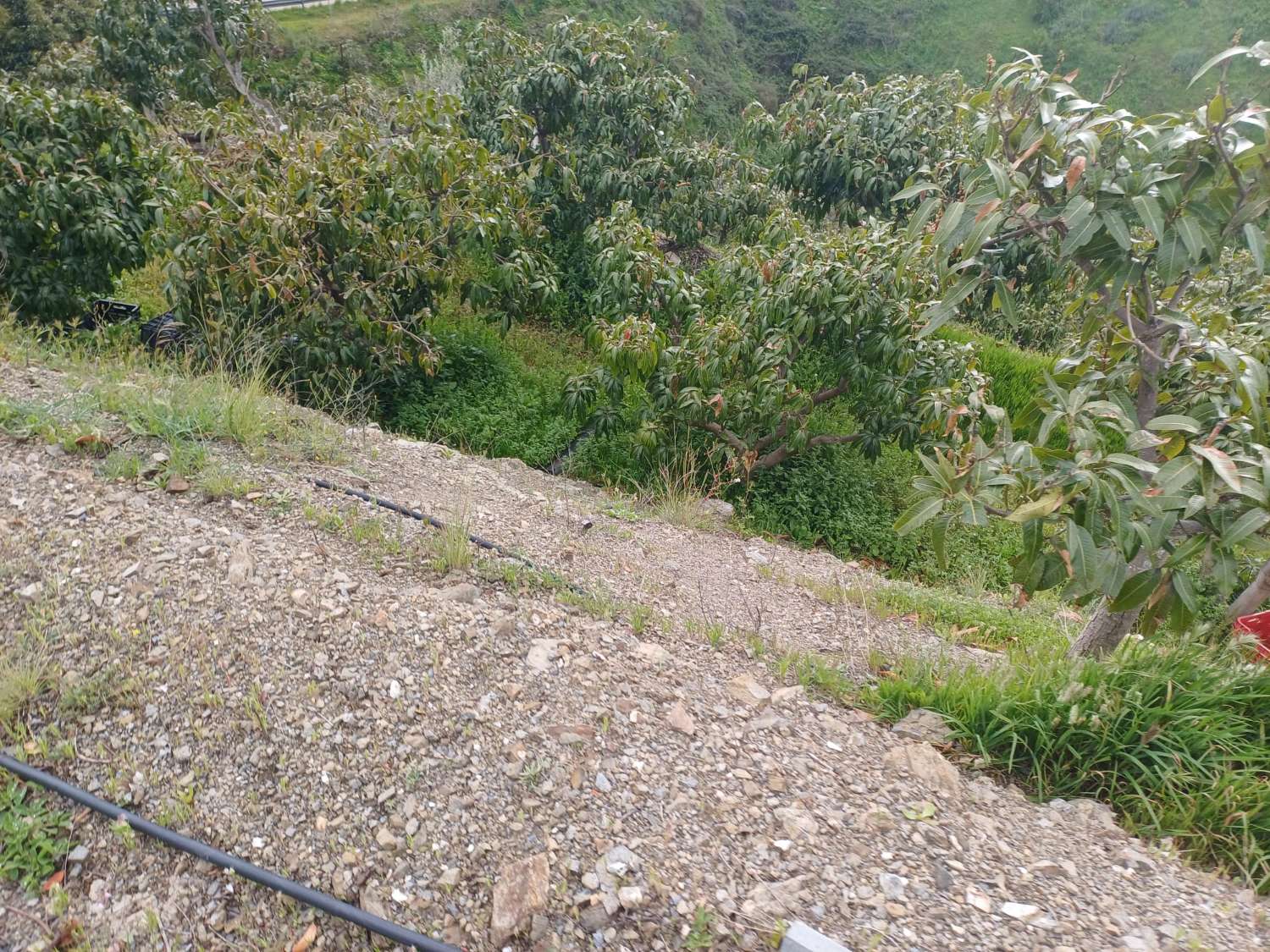 Casa de campo con piscina en Almachar