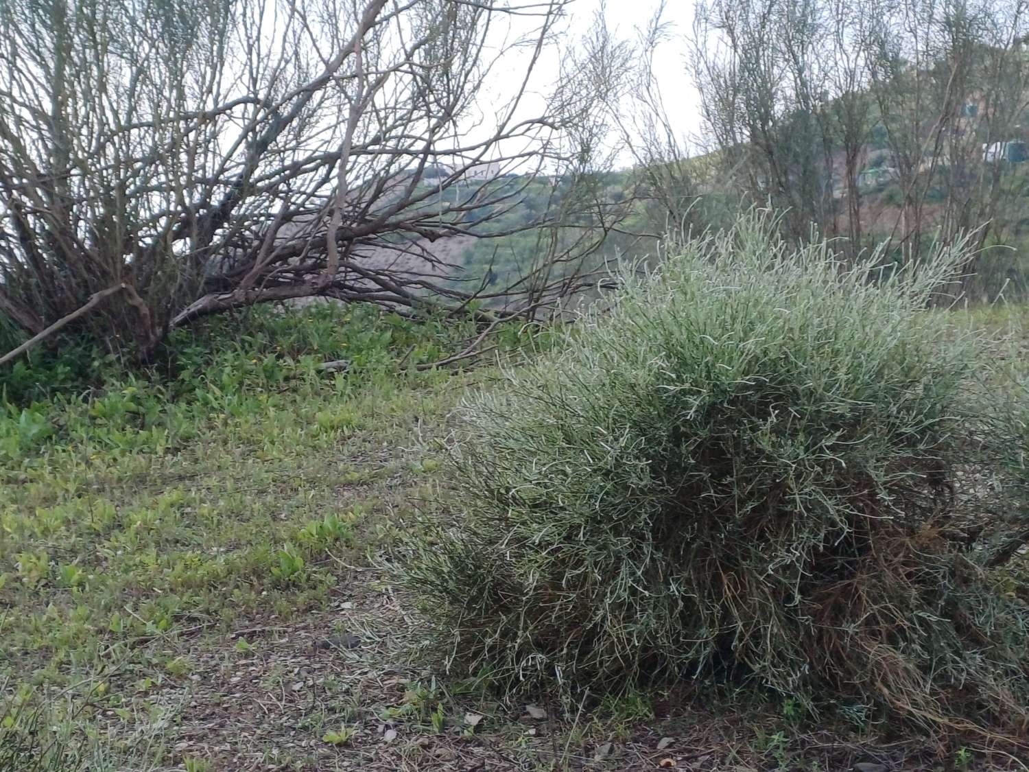 قطعة أرض في الزاوية بإطلالة على البحر