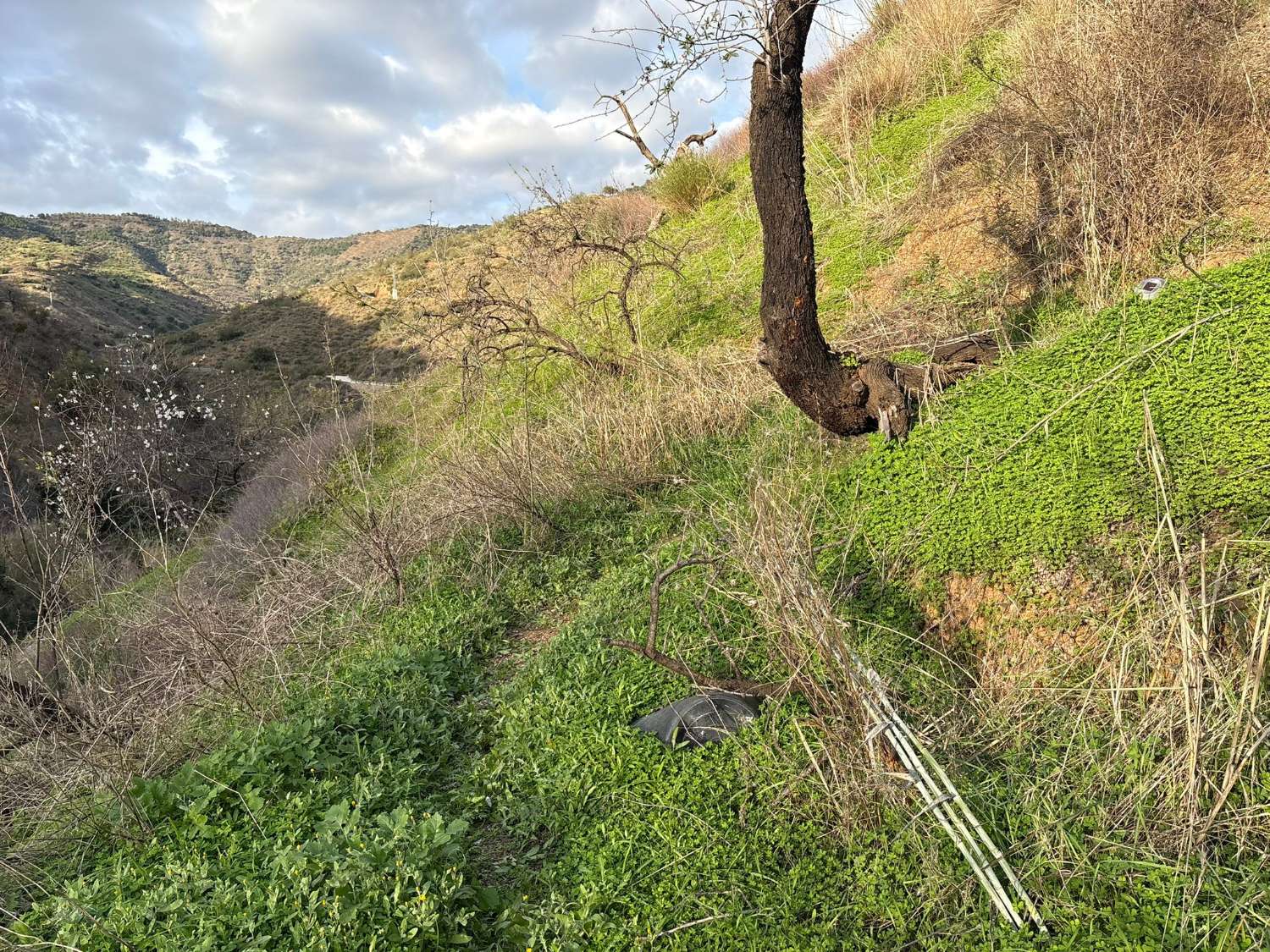 Plot with house in Olias