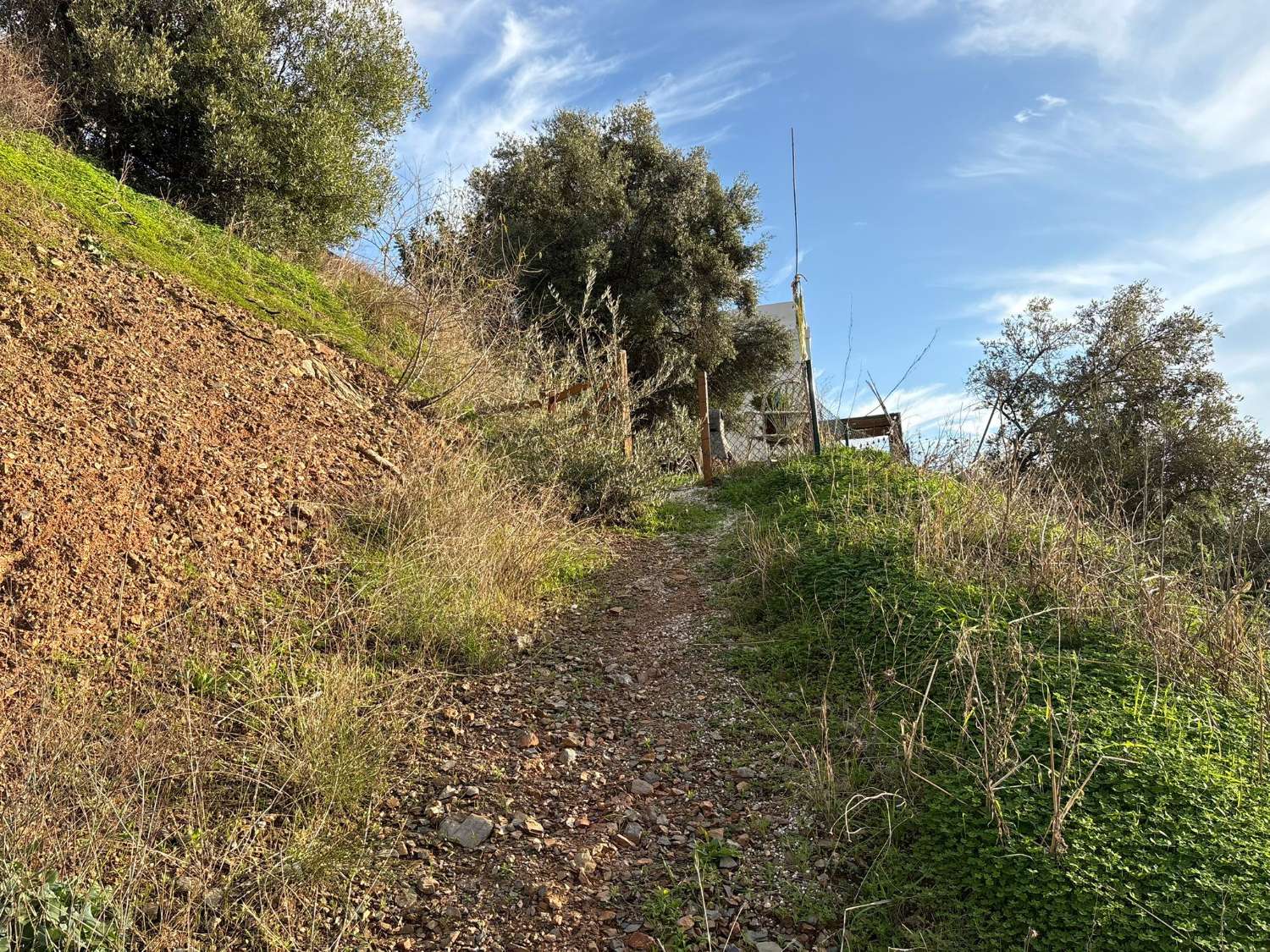 Plot with house in Olias