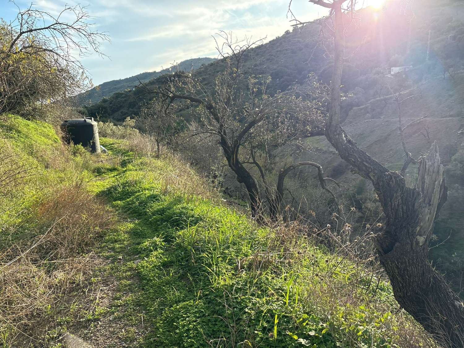 Plot with house in Olias