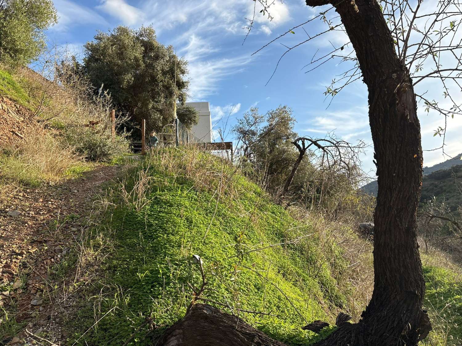 Plot with house in Olias