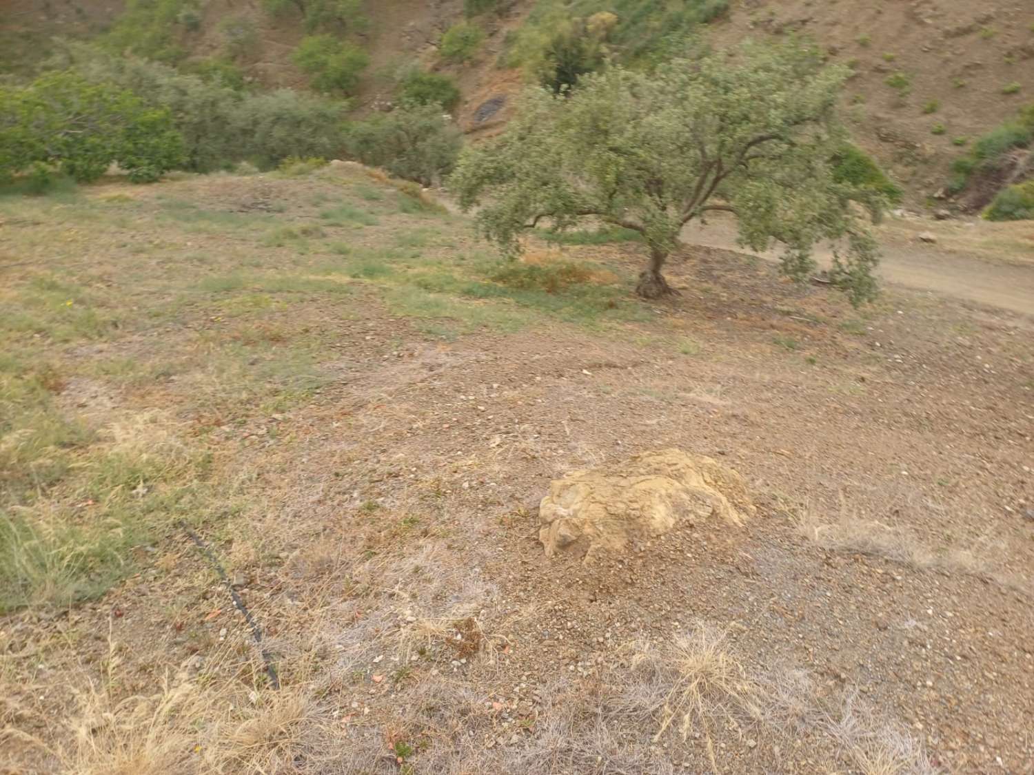 Etxea salgai in Almáchar