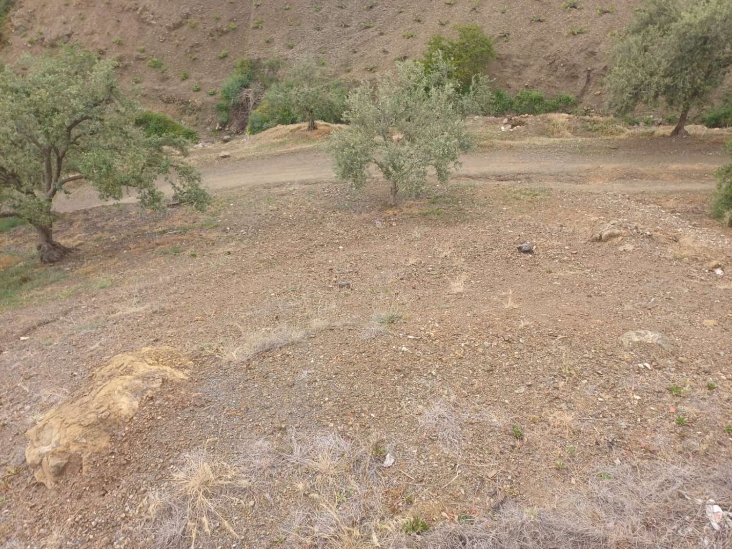 Etxea salgai in Almáchar